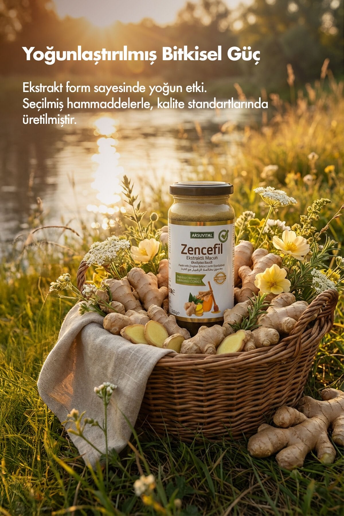 Aksuvital Okaliptus İlaveli Zencefil Ekstraktlı Macun 300 gr